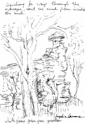 Rocky outcrops